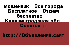 мошенник - Все города Бесплатное » Отдам бесплатно   . Калининградская обл.,Советск г.